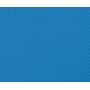 Darpeje Pennyboard Funbee Blue