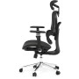 Kancelářská židle, synchronní mechanismus, černá síťovina, KA-B2361 BK