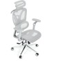 Kancelářská židle, synchronní mechanismus, šedá síťovina, KA-B2361 GREY
